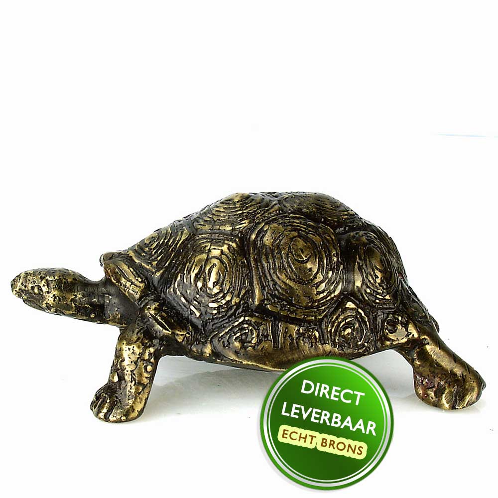 Bronzen schildpad. schildpad beeldjes