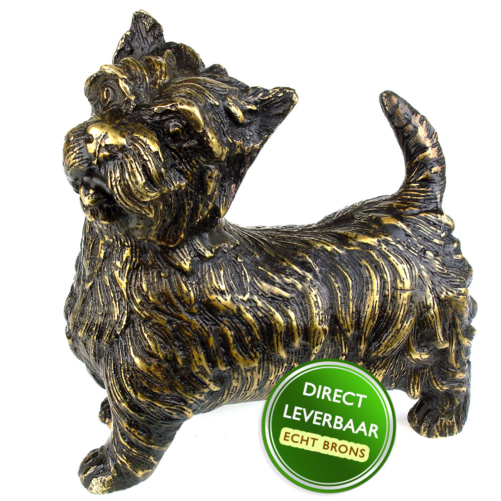Alsjeblieft kijk verdieping Uitvoerder Bronzen beeld hond terrier bronzen honden beelden