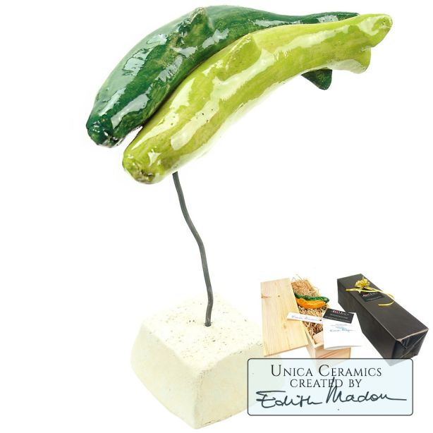 Beeldjes vis keramiek titel Geluksvisjes in geschenkverpakking