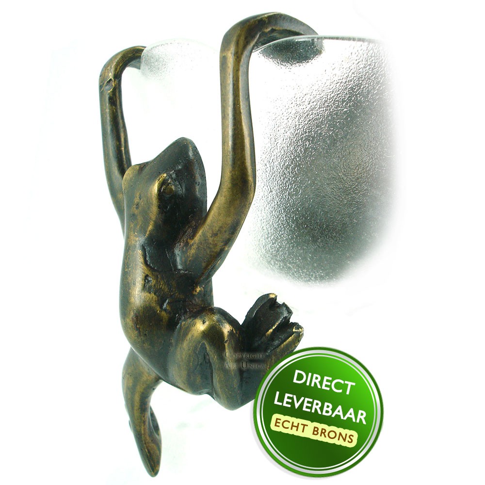 Bronzen beeldje Kikker hangend Art Unica