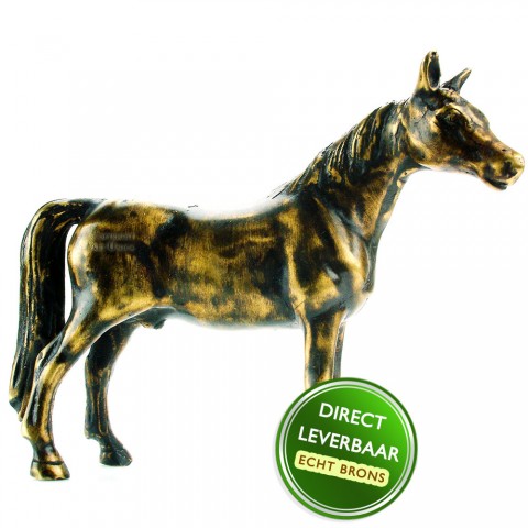 Bronzen beeldje Veulen Art Unica