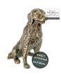 Bronzen beeldje Labrador hond 