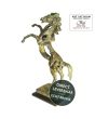 Steigerend Paard bronzen beeld titel Energy Art Unica