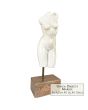 Beeld marmer vrouwentorso op marmeren sokkel 67cm Art Unica