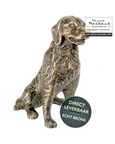 Hond retriever brons